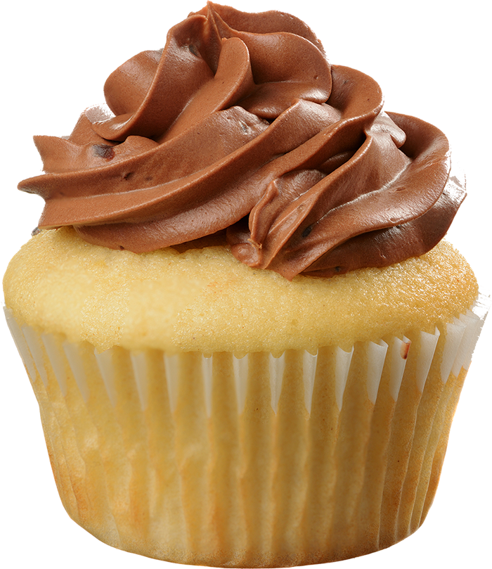 Vanilla cupcake with chocolate frosting